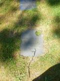 image of grave number 654708